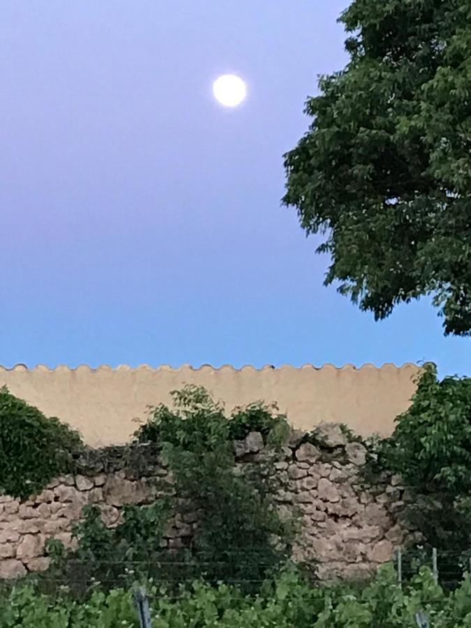 Saint-Antonin-du-Var Domaine Du Clos D'Alari-Chambres D'Hotes Au Milieu Des Vignes المظهر الخارجي الصورة