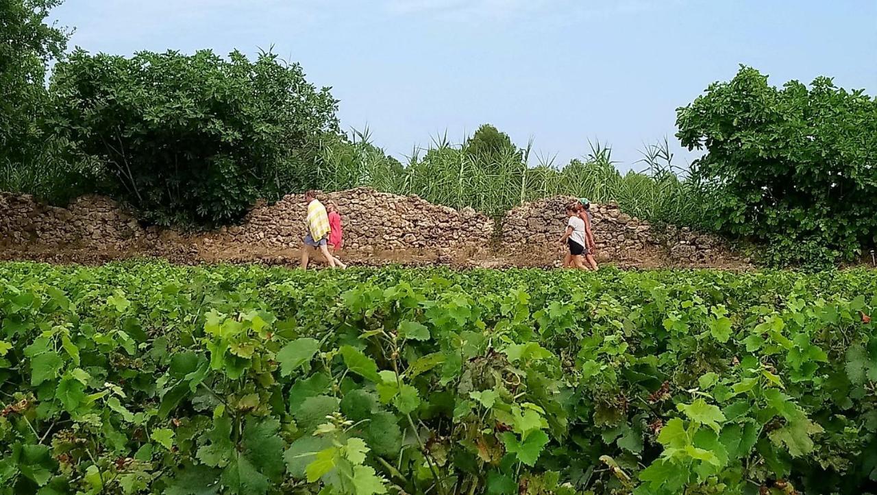 Saint-Antonin-du-Var Domaine Du Clos D'Alari-Chambres D'Hotes Au Milieu Des Vignes المظهر الخارجي الصورة
