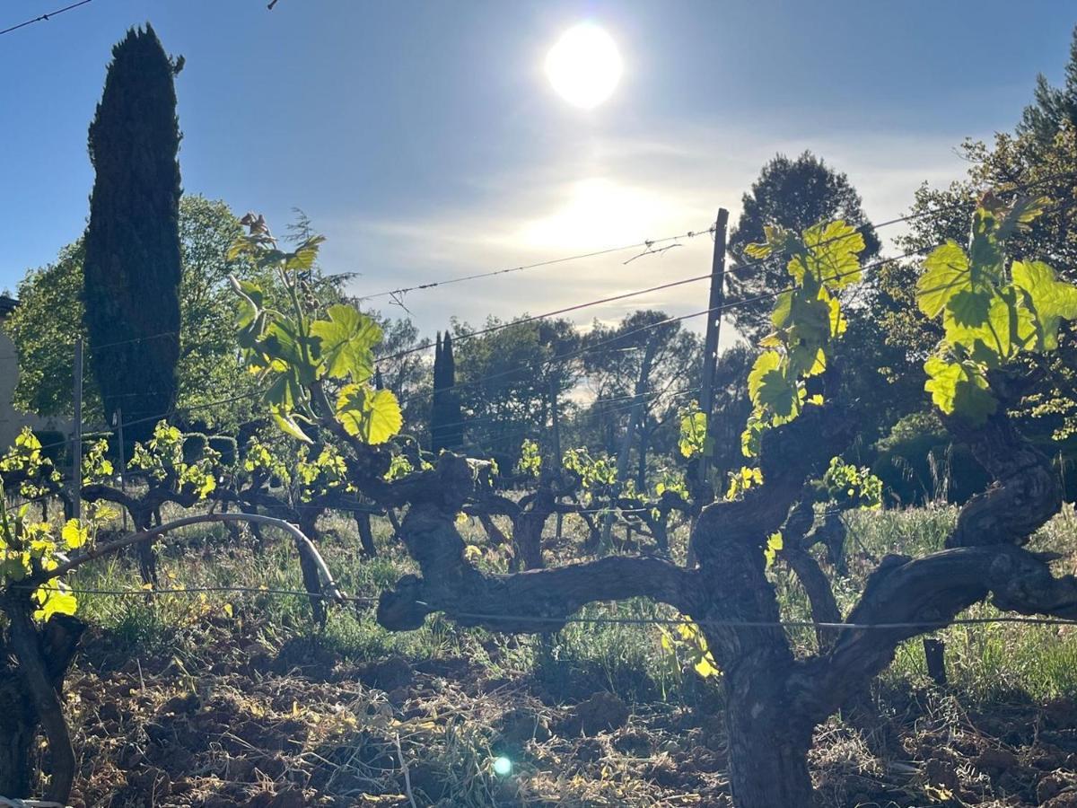 Saint-Antonin-du-Var Domaine Du Clos D'Alari-Chambres D'Hotes Au Milieu Des Vignes المظهر الخارجي الصورة